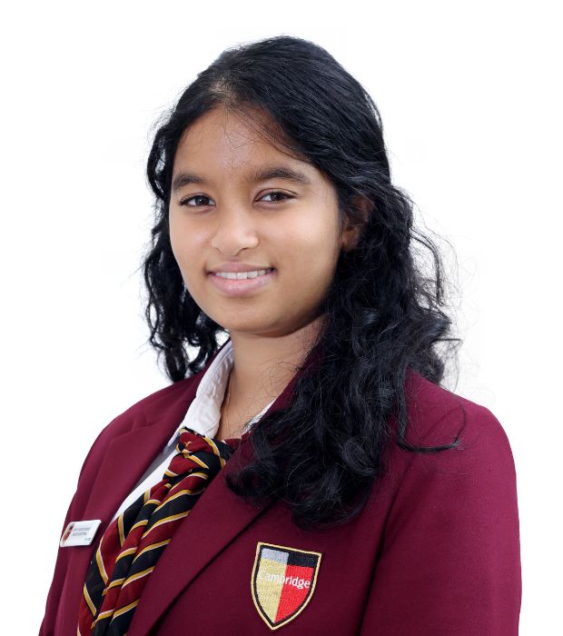 Sanudi 620x700